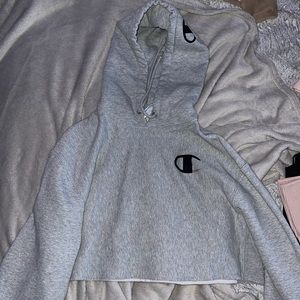 Champion cropped sweater